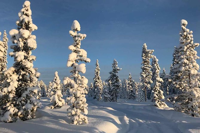 Snowmobile Arctic Adventure - Who will enjoy this Kiruna adventure most
