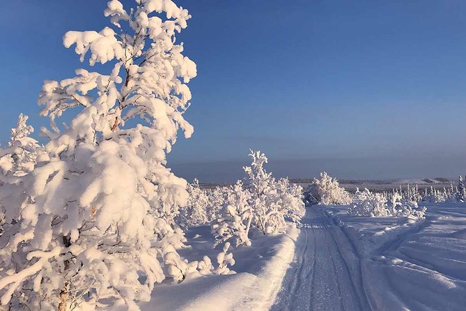 Snowmobile Arctic Adventure - Learning to handle a two-person snowmobile