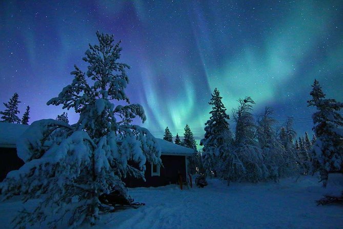 Snowmobile Aurora Expedition with dinner - Riding into Kiruna’s winter darkness