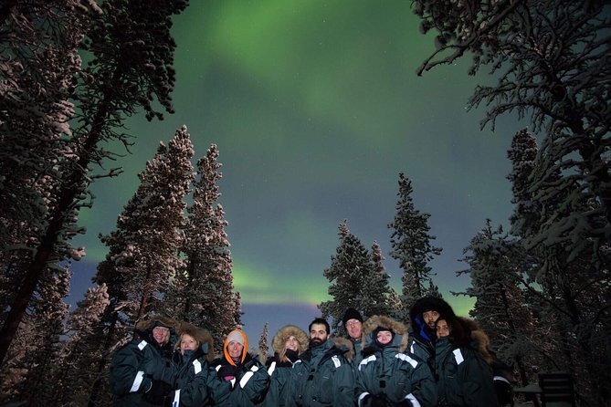 Snowmobile Aurora Expedition with dinner - Chasing the Northern Lights