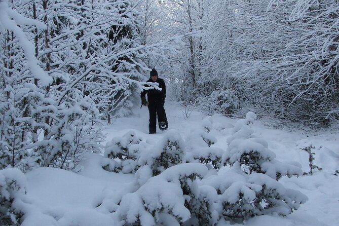 Snowshoe in a Winter Forest - What happens during the 2.5-hour outing