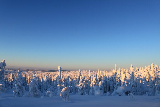 Snowshoe in a Winter Forest - What to wear for Kiruna’s cold conditions