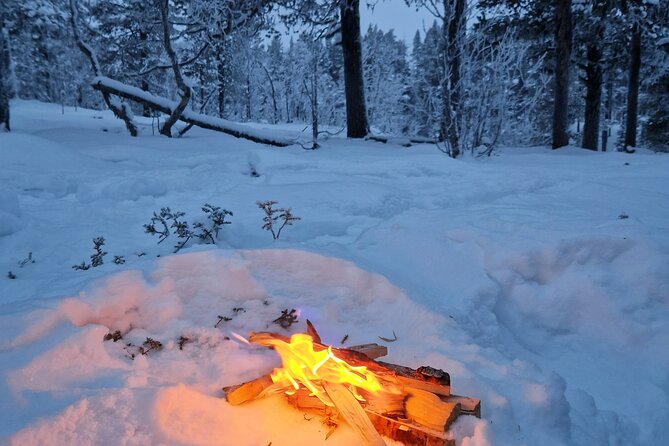 Snowshoe in a Winter Forest - Pickup details and timing in Kiruna