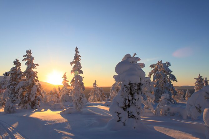 Snowshoe in a Winter Forest - Is the price fair at $146.65?