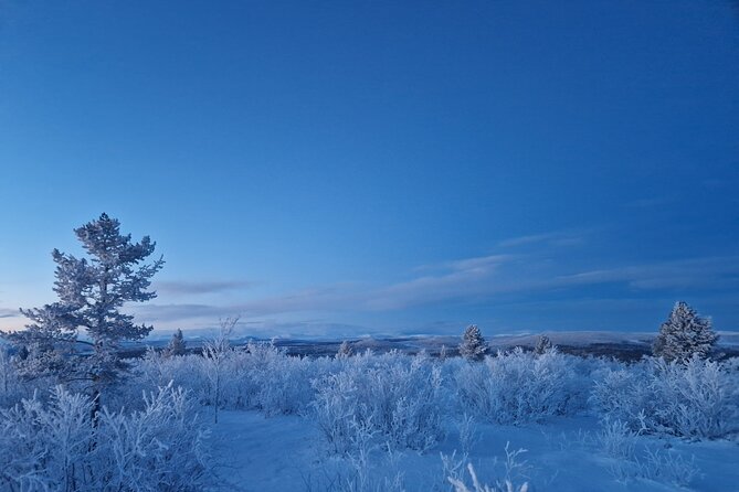 Snowshoe up a Mountain - Pickup around Kiruna’s old and new town
