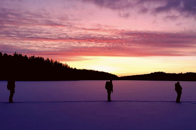 Snowshoe Winter Hike from Stockholm - Leaving Stockholm for a real winter day