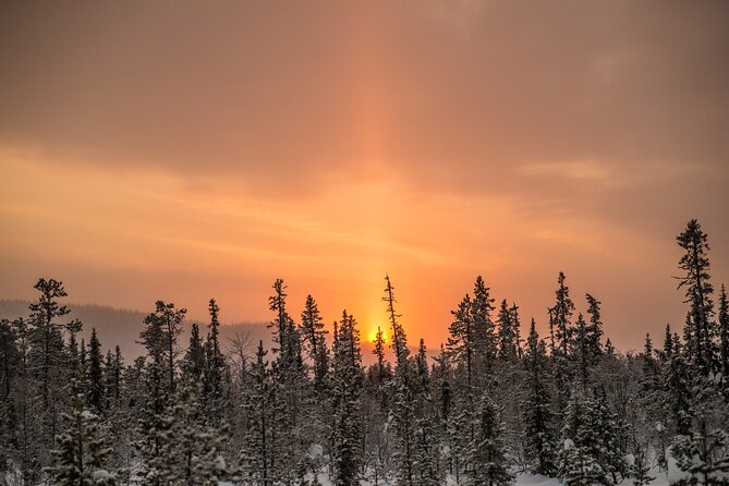 Snowshoe Winter Hike from Stockholm - Who will get the most from this hike