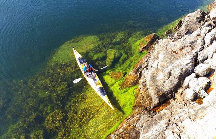 Stockholm: 1, 2, or 3-Day Kayaking Tour in the Archipelago - Who should book this kayak trip?
