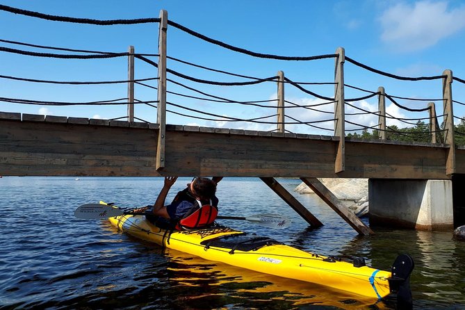 Stockholm Archipelago Kayaking Day Tour - Returning slowly, then finishing with fika