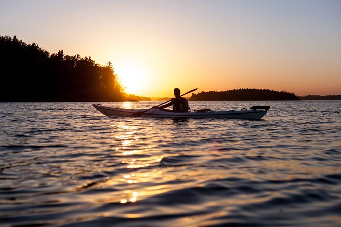 Stockholm Archipelago Sunset Kayaking and Fika tour - Key points to know before booking