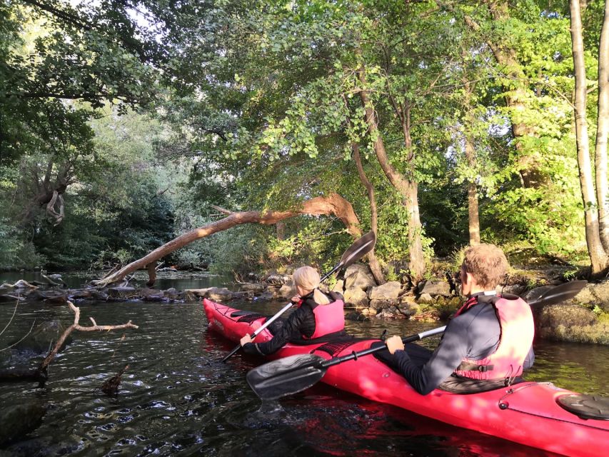Stockholm Evening Kayak with BBQ. - From the kayaks to the island beach