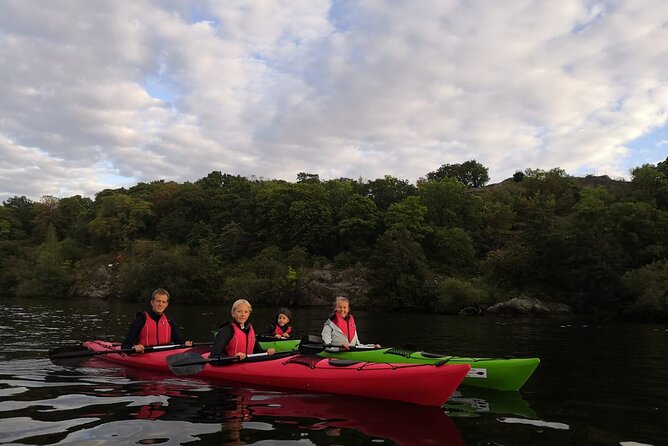 Stockholm Evening Kayak with BBQ - Small Group - Who will enjoy this evening most