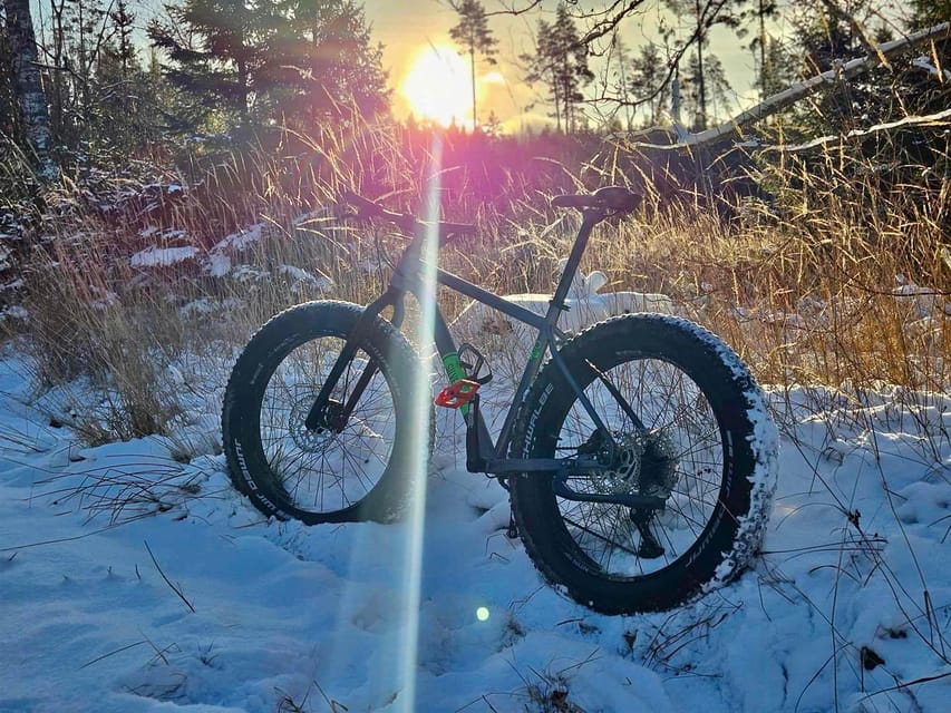 Stockholm: Fat Bike Forest Adventure with Lunch and Sauna - Meeting the guide and choosing the right route