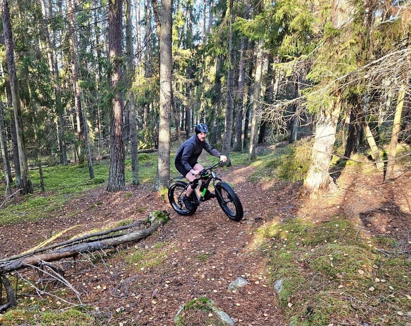 Stockholm: Fat Bike Forest Adventure with Lunch and Sauna - How much value do you get for $138?