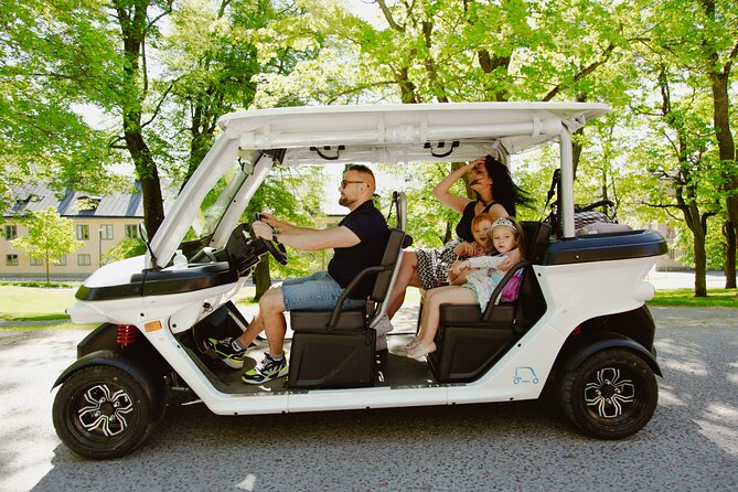 Stockholm Highlights: Private Golf Cart Tour - Strandvägen, Djurgården, and the wider city