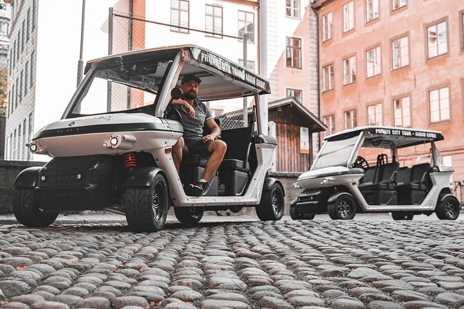 Stockholm Highlights: Private Golf Cart Tour - Södermalm, colorful lanes, and the city’s hillside views