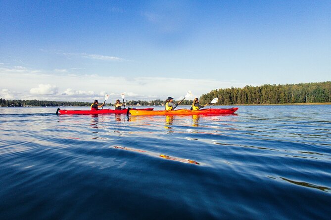 Stockholm: Kayaking tour around Vaxholm Archipelago with Fika - Vaxholm Fortress and the defensive gateway