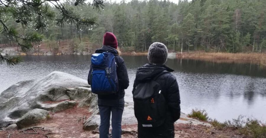 Stockholm: Nature Hike with Campfire Lunch - What the Winter Forest Feels Like