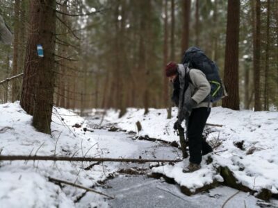 Nature Hike with Campfire Lunch