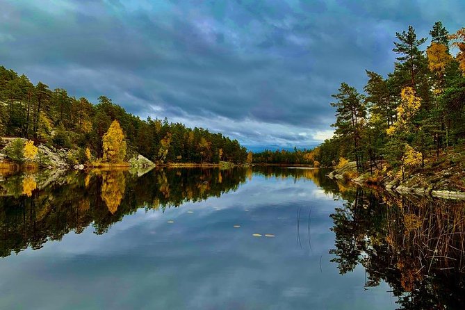 Stockholm: Nature Reserve Hiking Tour with Campfire Lunch - What the guides add to the day