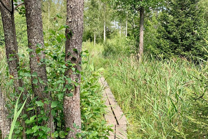 Stockholm: Nature Reserve Hiking Tour with Campfire Lunch - Who should book this hike?