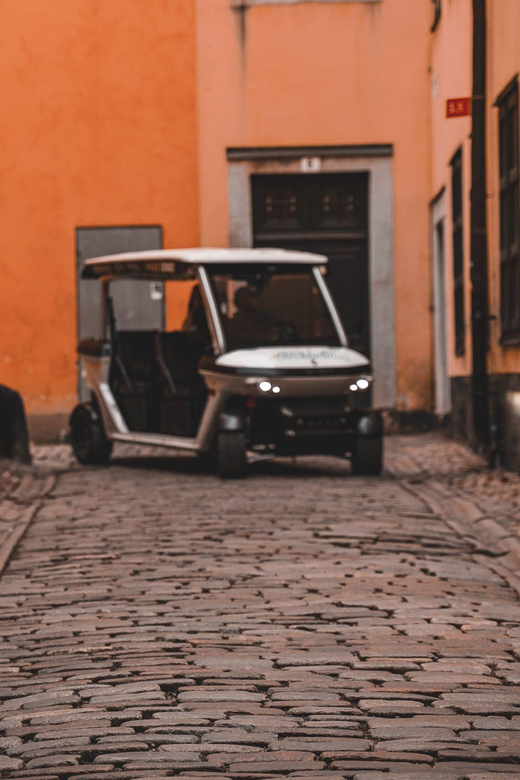 Stockholm Private Golf Cart Tours - Skeppsholmen and Kastellholmen: art, water, and ships