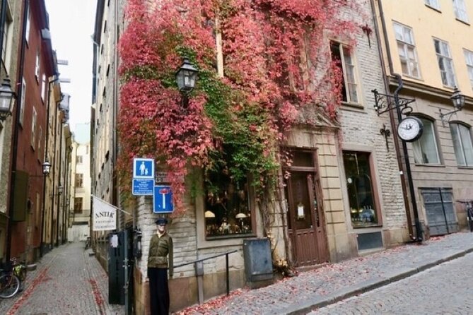 Stockholm Private Group Walking Tour | 3 Hours - Rachel and Kenneth bring different strengths