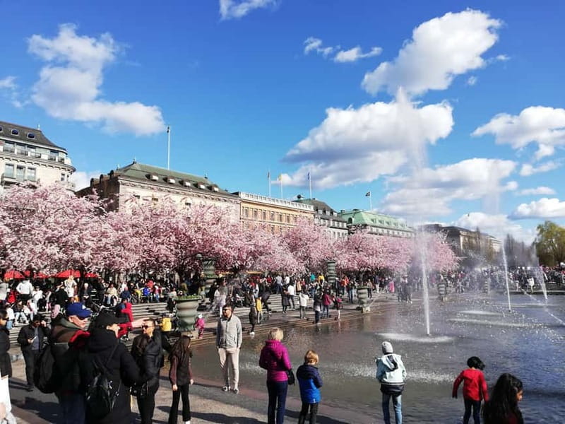 Stockholm: Scandinavian Architecture & Design Ostermalm Tour - Östermalmshallen brings architecture down to lunch