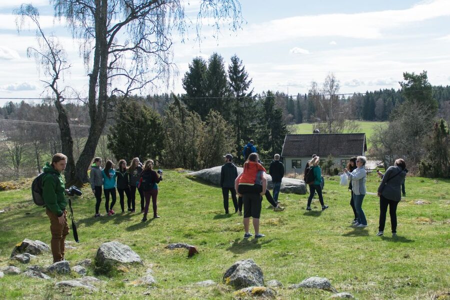 Stockholm: Sigtuna and Uppsala Viking History Day Tour - Why this Viking tour works from Stockholm