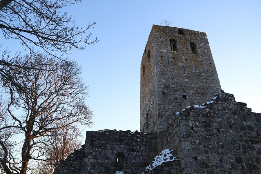 Stockholm: Sigtuna and Uppsala Viking History Day Tour - Arkils Tingstad and early Scandinavian decision-making