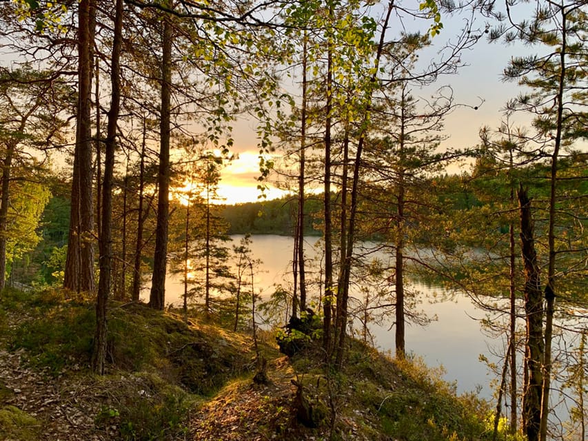 Stockholm: Sunset Hike in Tyresta National Park with Meal - Who should book this Tyresta outing?