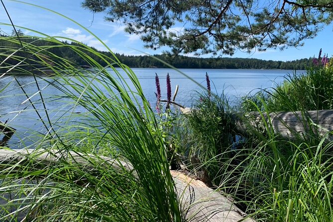 Stockholm: Sunset Hike in Tyresta National Park with Meal - Granite cliffs and lake views