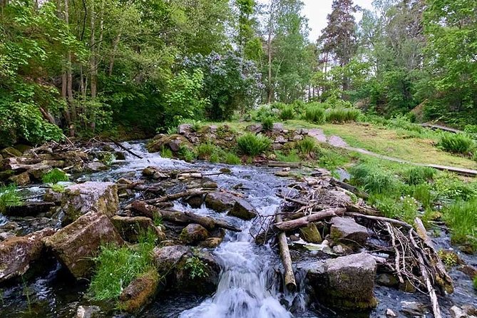 Stockholm: Sunset Hike in Tyresta National Park with Meal - What to wear for Tyresta
