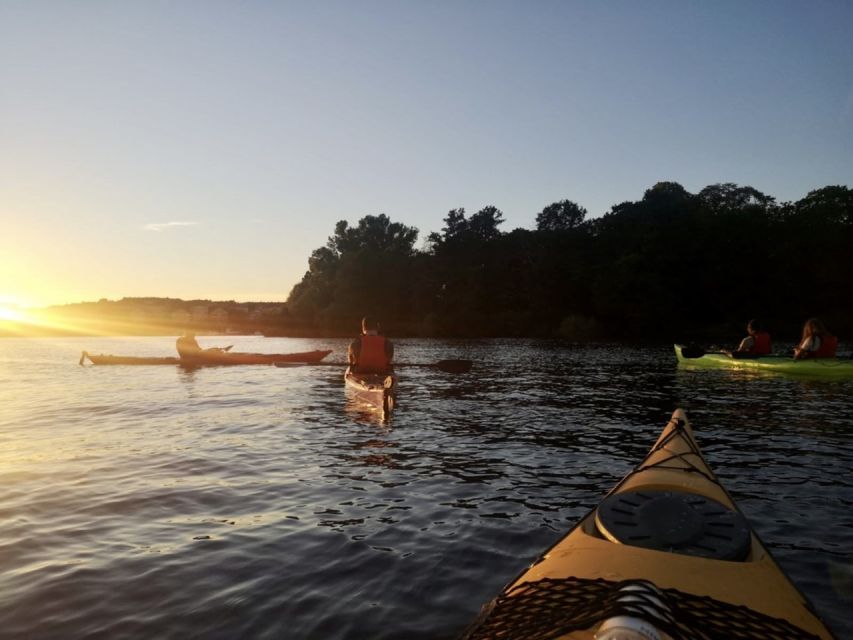 Stockholm: Sunset Kayak Tour in the City + Swedish Fika - Is $149 a fair price?