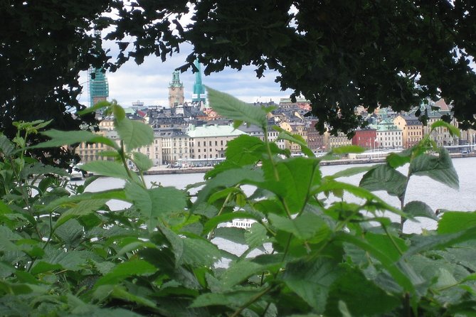 Stockholm Top attractions all-inclusive Gran Tour - A Swedish lunch helps break up the sightseeing