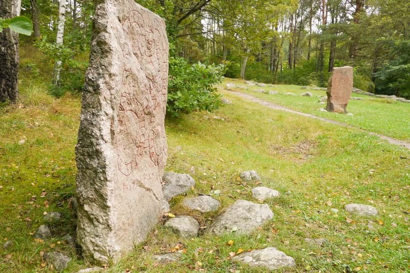 Stockholm Viking History Full Day Tour to Sigtuna + Uppsala - Key things to know before you go