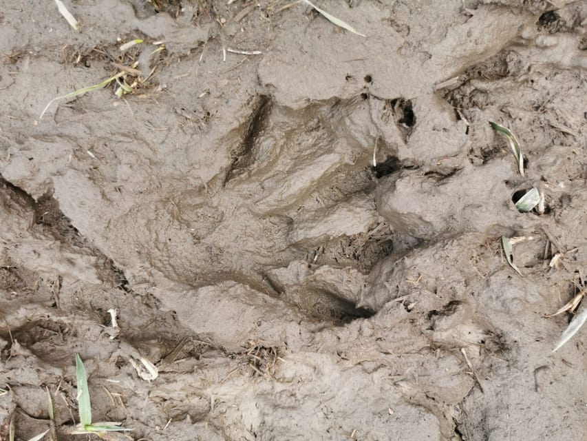 Stockholm: Wildlife Safari - Key points at a glance