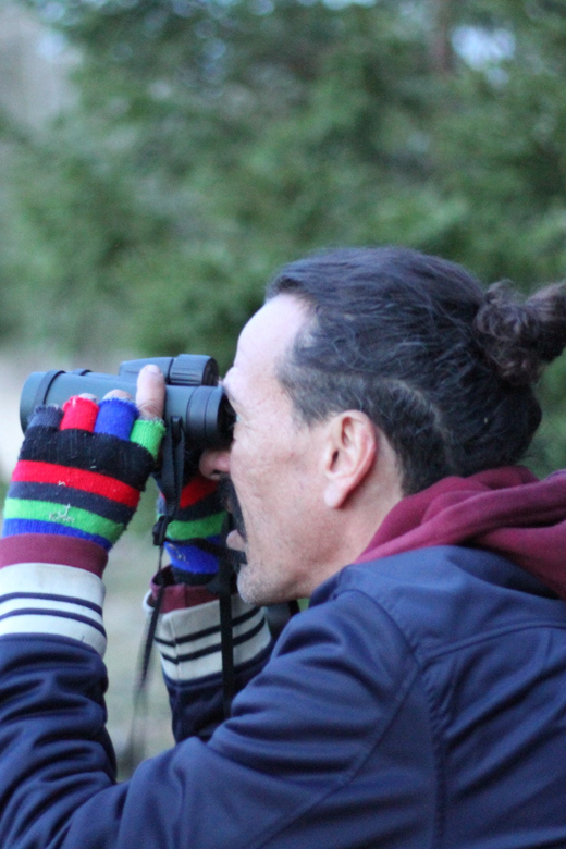 Stockholm: Wildlife Safari - Should you book the Stockholm Wildlife Safari?