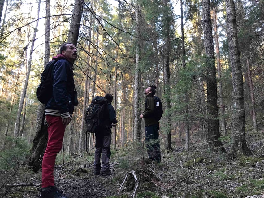 Stockholm: Wildlife Safari - Practical details before you book