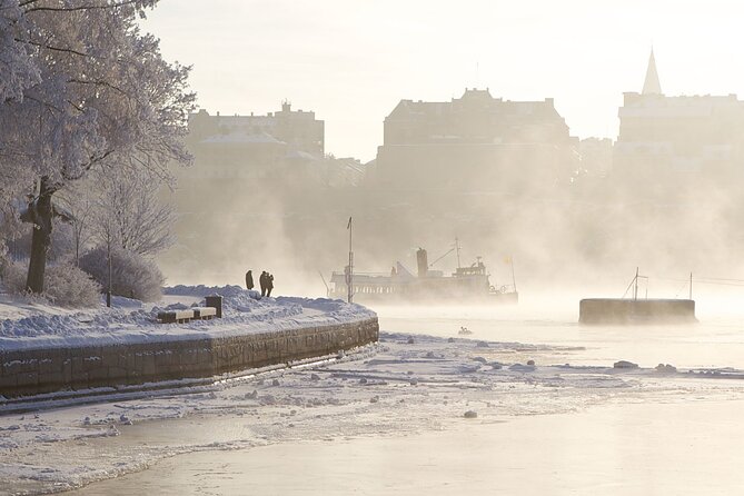 Stockholm Winter Boat Tour with Guide - Stockholm From the Water in Winter
