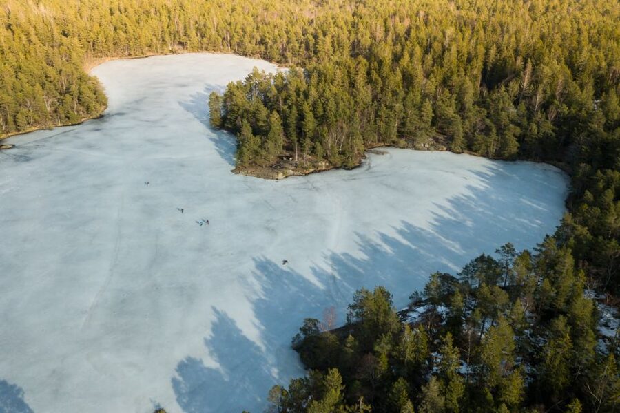 Stockholm: Winter Snowshoe Full-Day Hike - Key points to know before you book