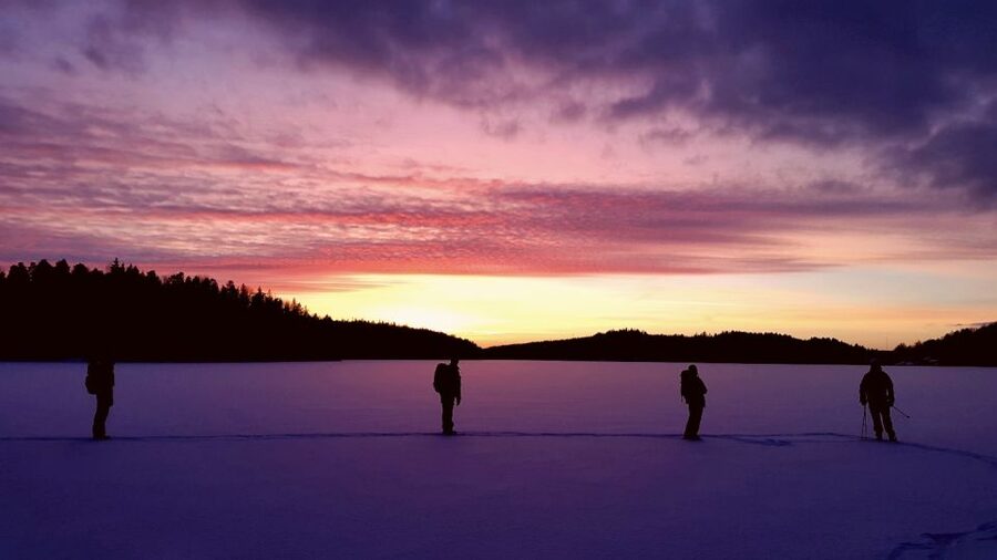 Stockholm: Winter Snowshoe Full-Day Hike - Who should book this Stockholm winter hike?