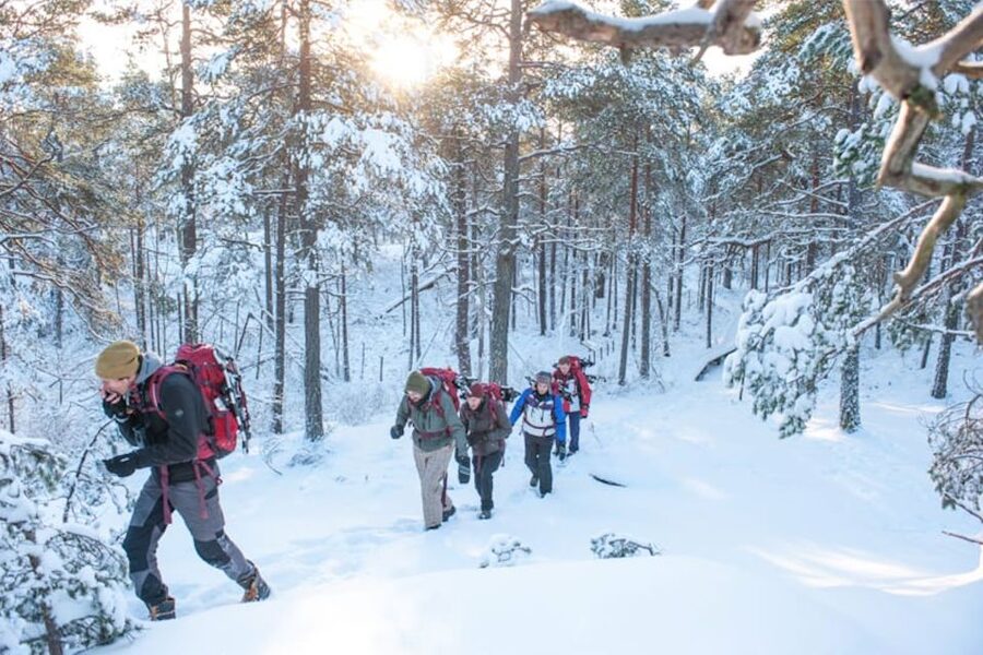 Stockholm: Winter Snowshoe Full-Day Hike - From Stockholm streets to frozen forest