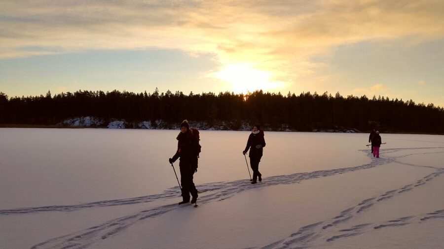 Stockholm: Winter Snowshoe Full-Day Hike - Snow-covered trees, animal tracks, and frozen water