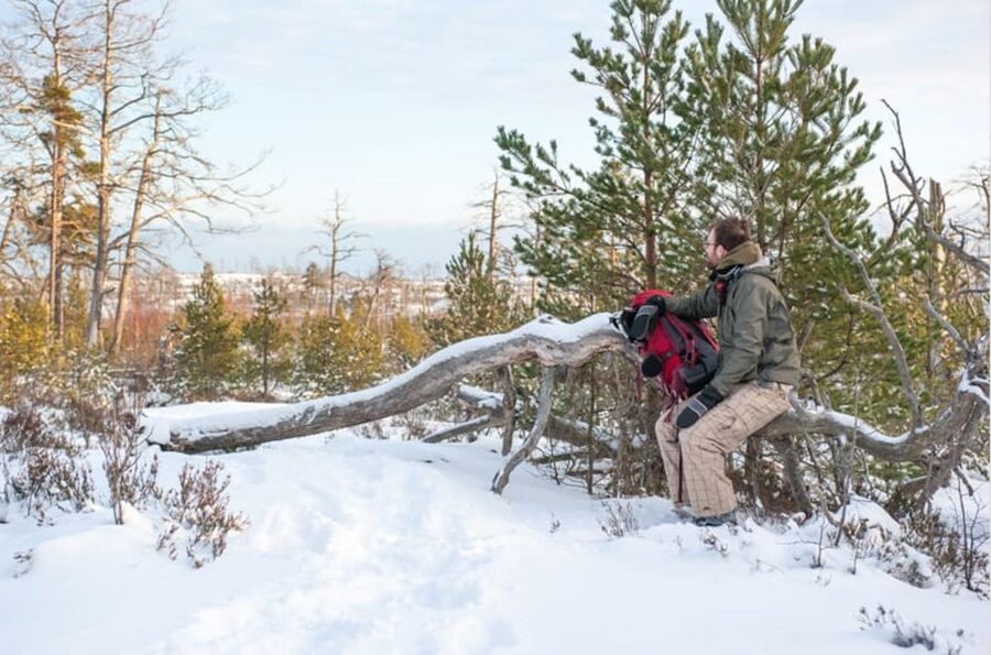 Stockholm: Winter Snowshoe Full-Day Hike - Guides who make the woods easier to read