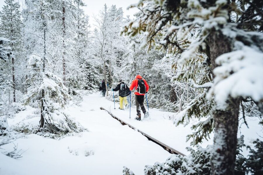 Stockholm: Winter Snowshoe Full-Day Hike - The second half and return to Stockholm