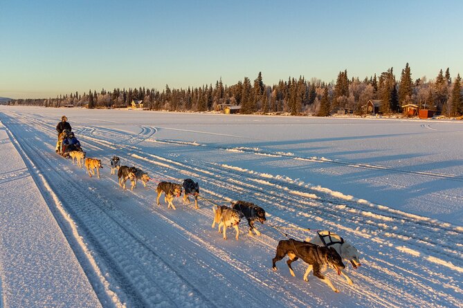Sunrise Zen Husky Tour (10:00 to 13:00 - sitting on the sled) - From Kiruna hotels to the Poikkijärvi woods