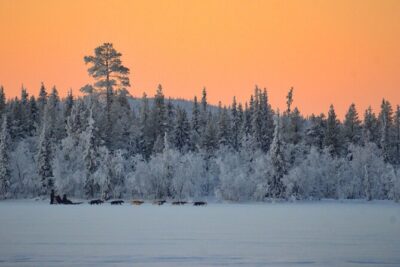 Sunrise Zen Husky Tour (10:00 to 13:00 – sitting on the sled)
