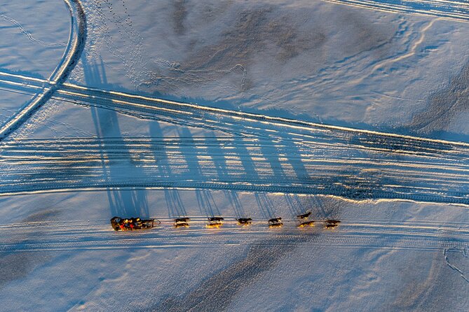 Sunrise Zen Husky Tour (10:00 to 13:00 - sitting on the sled) - Who will enjoy this Kiruna husky tour