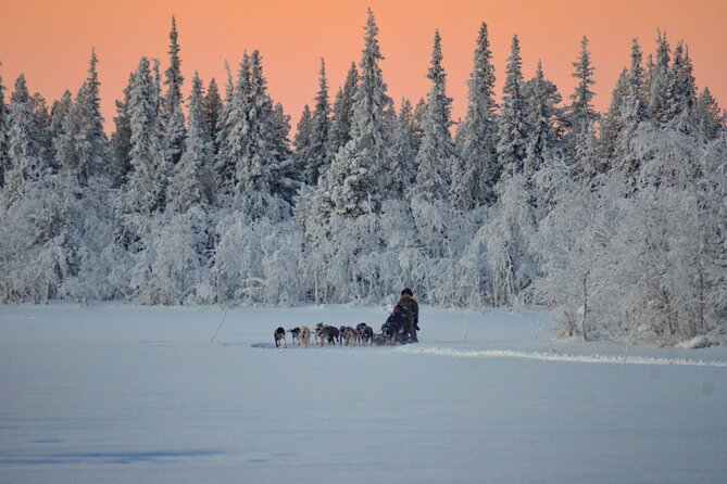 Sunrise Zen Husky Tour (10:00 to 13:00 - sitting on the sled) - Should you book the Sunrise Zen Husky Tour?